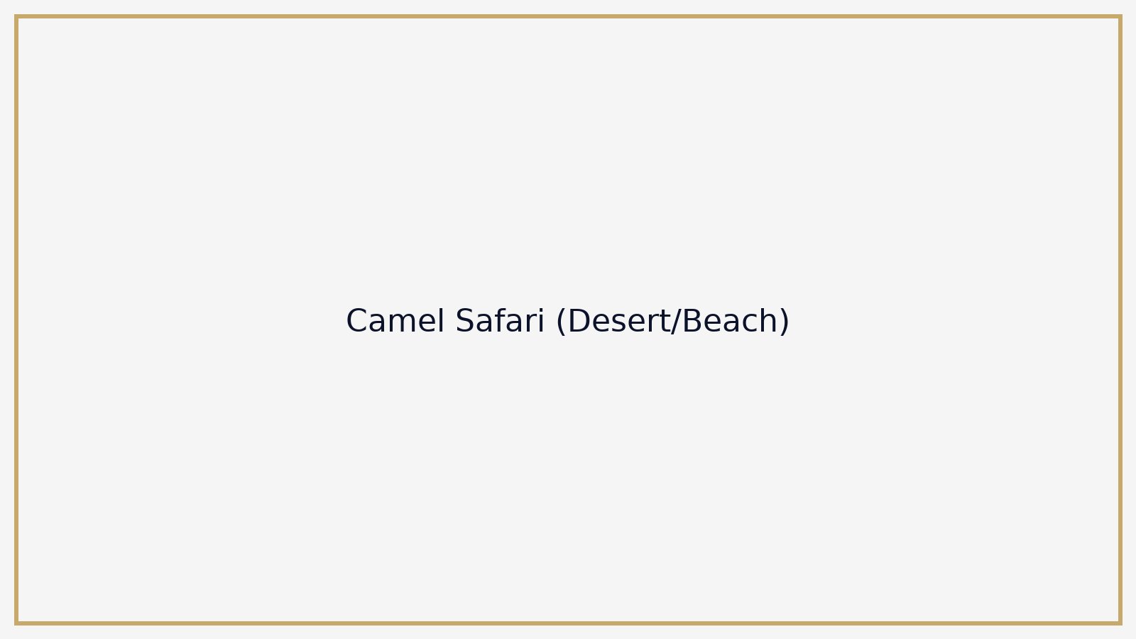 Camel Safari (Desert/Beach)